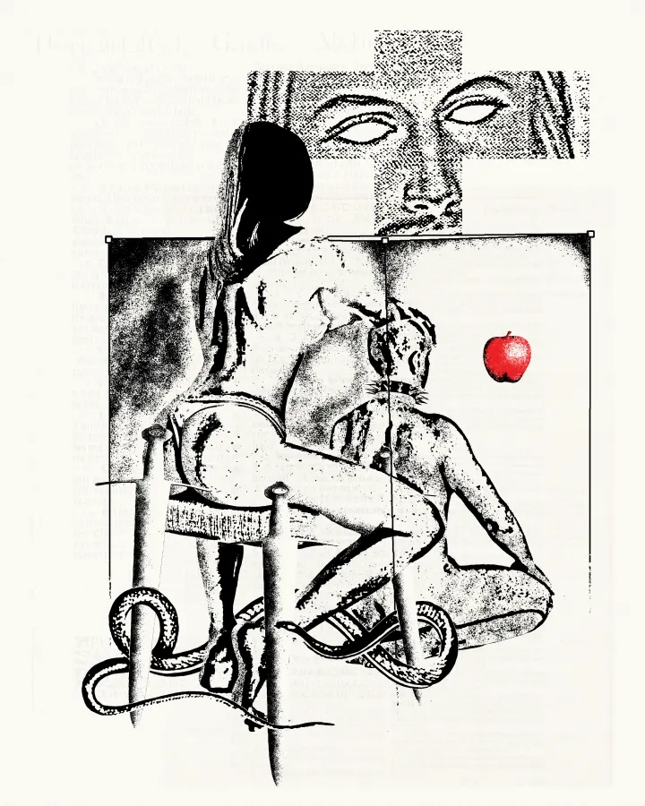 Are you going to see the rose in the vase, or the dust on the table?